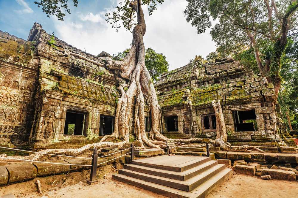 Un albero gigante al tempio di Ta Prohm, Siem Reap